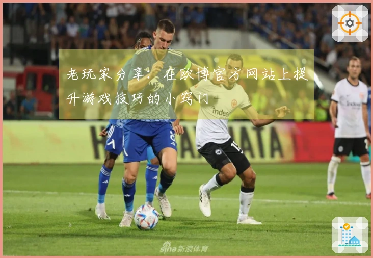 老玩家分享：在欧博官方网站上提升游戏技巧的小窍门